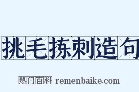 挑毛拣刺造句是什么意思的图片
